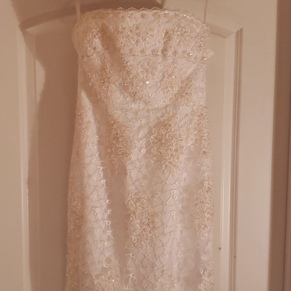 Wedding Gown